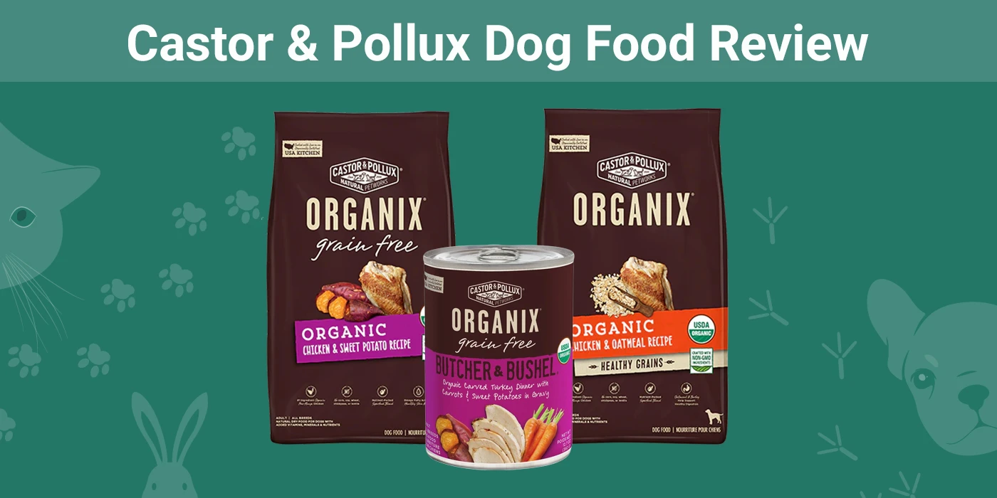 Castor and Pollux Dry Dog Food: Is It Good for Your Pup?