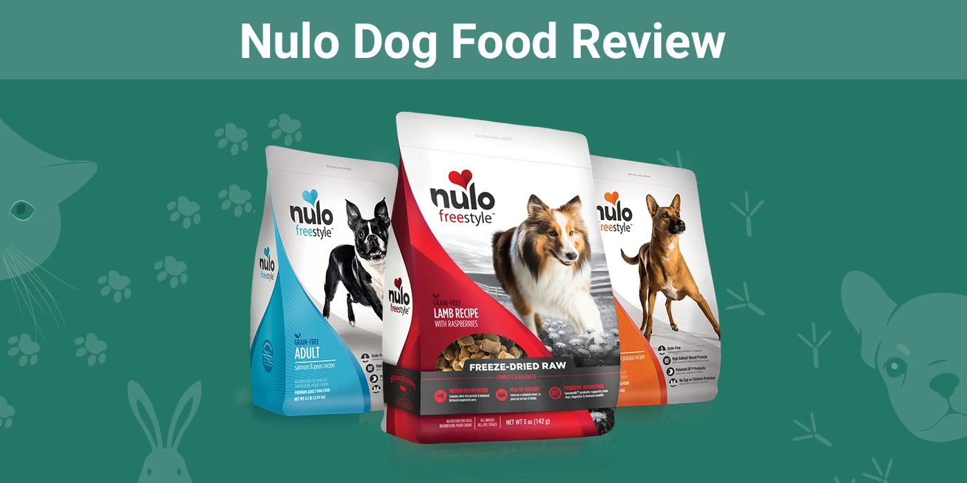 Best Nulo Wet Dog Food? Top Picks & Honest Reviews!