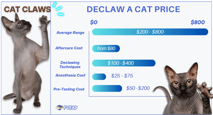 how much to get your cat declawed